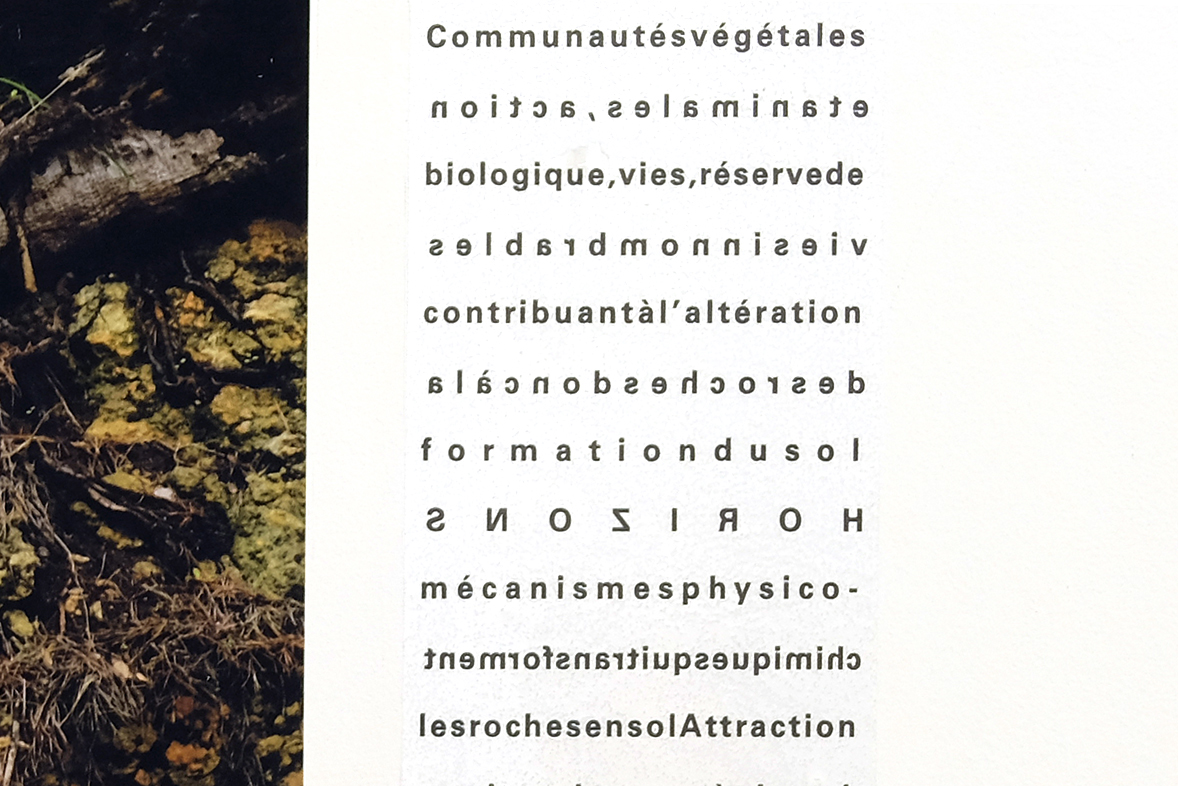 Détail du texte